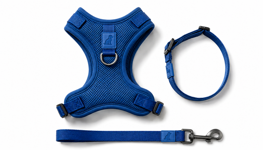 Breathable Dog Vest Harness Set, Adjustable Soft Mesh Harness with Leash & Collar