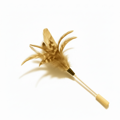 Feather Cat Wand Toy for Indoor Chase Play