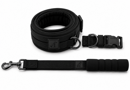 Heavy-Duty Dog Collar and Leash Set, Adjustable Nylon with Shock-Absorbing Leash