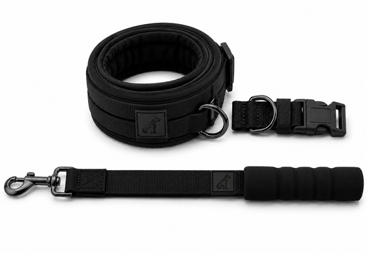 Heavy-Duty Dog Collar and Leash Set, Adjustable Nylon with Shock-Absorbing Leash