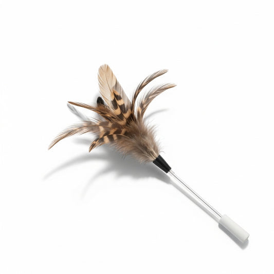 Feather Cat Wand Toy for Indoor Chase Play