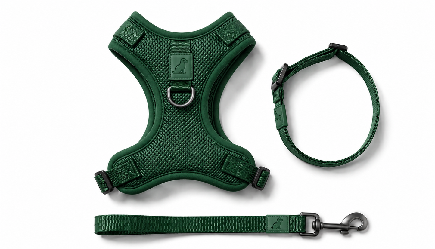 Breathable Dog Vest Harness Set, Adjustable Soft Mesh Harness with Leash & Collar