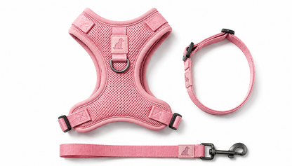 Breathable Dog Vest Harness Set, Adjustable Soft Mesh Harness with Leash & Collar