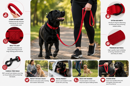 Heavy-Duty Dog Collar and Leash Set, Adjustable Nylon with Shock-Absorbing Leash