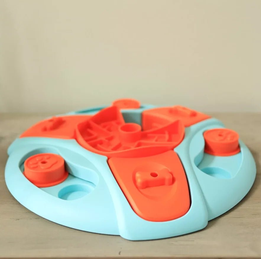 Brain Boosting Toys for Active Dogs - Image 4