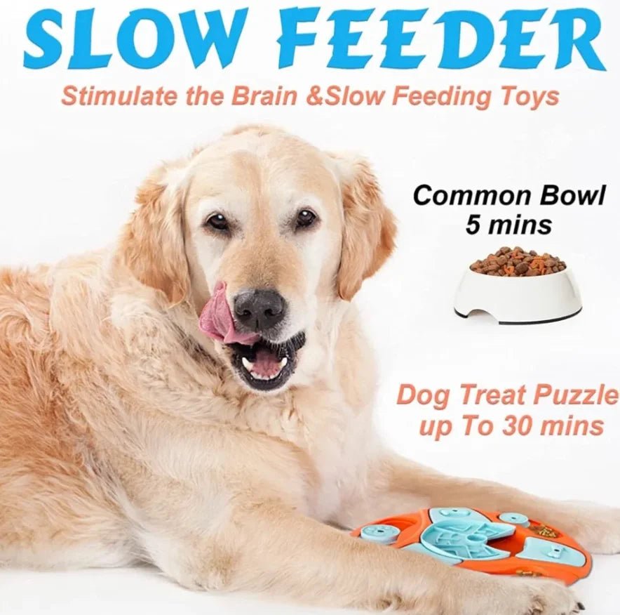 Brain Boosting Toys for Active Dogs - Image 16