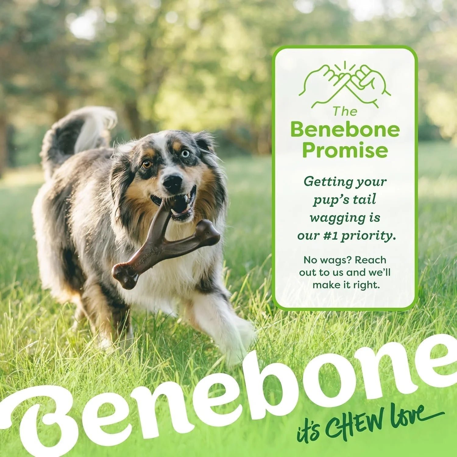 Benebone Wishbone Durable Toy ForDogs, For Heavy Chewers, Bacon Flavor - Image 15