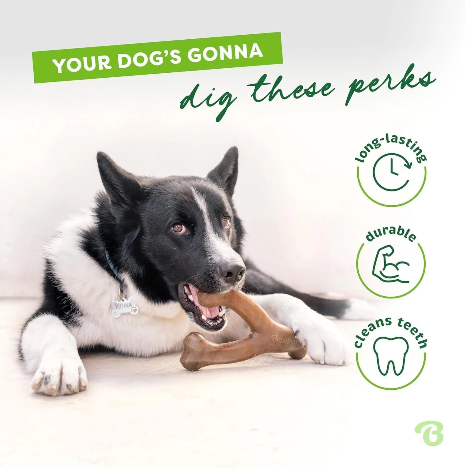 Benebone Wishbone Durable Toy ForDogs, For Heavy Chewers, Bacon Flavor - Image 8