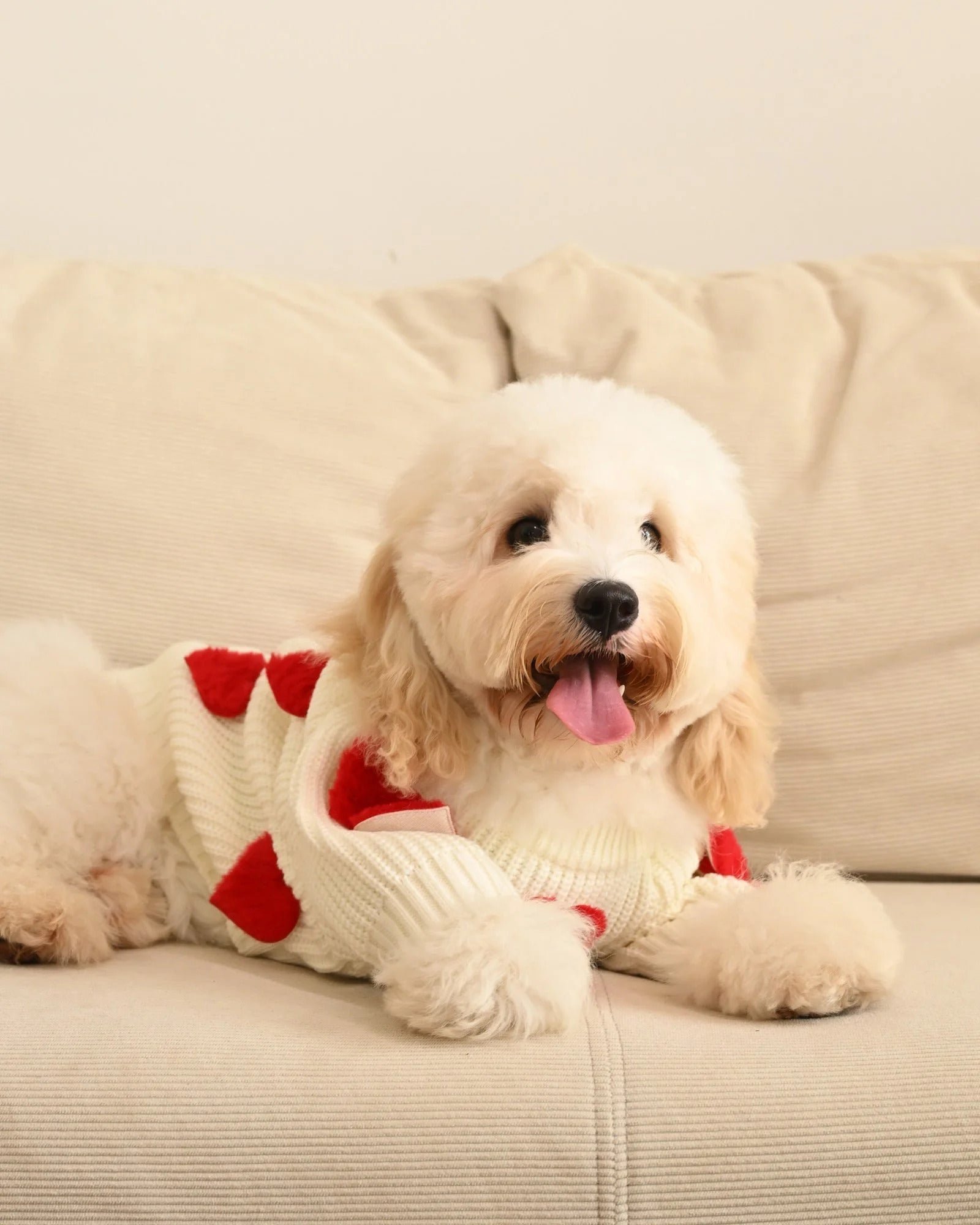 Cream Heart-3D Motif Pet Sweater - Image 19