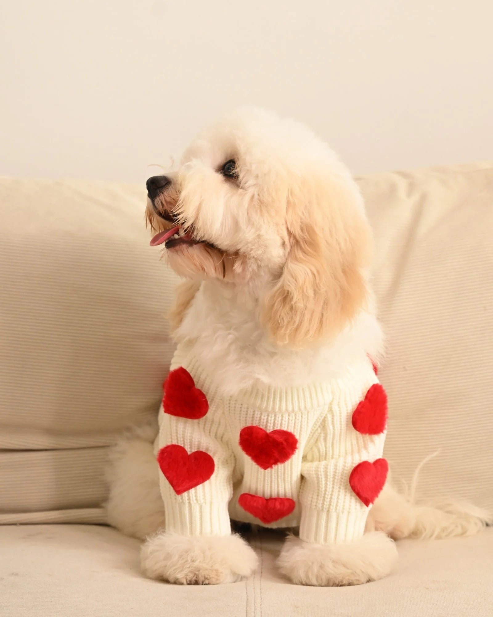 Cream Heart-3D Motif Pet Sweater - Image 10