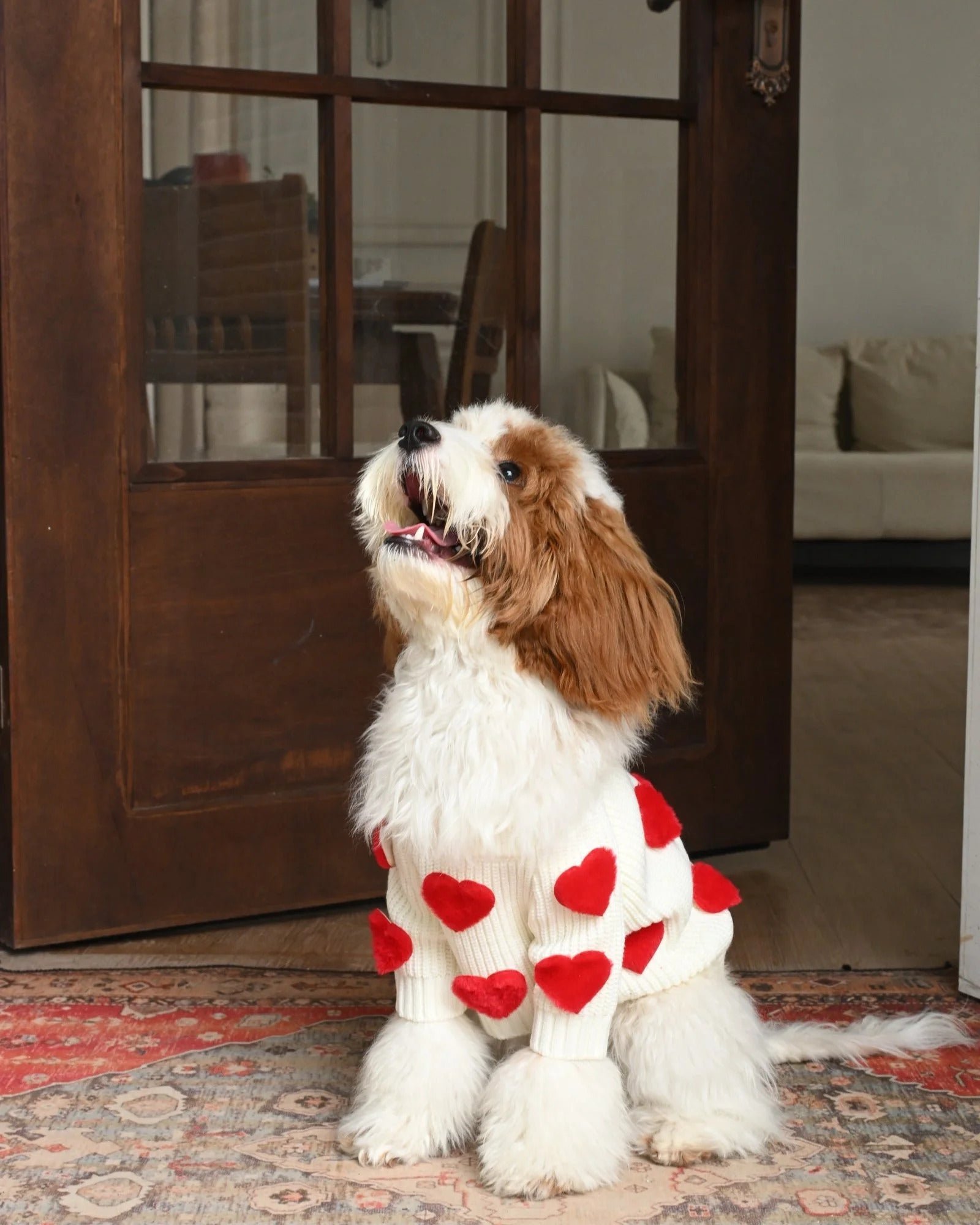 Cream Heart-3D Motif Pet Sweater - Image 14
