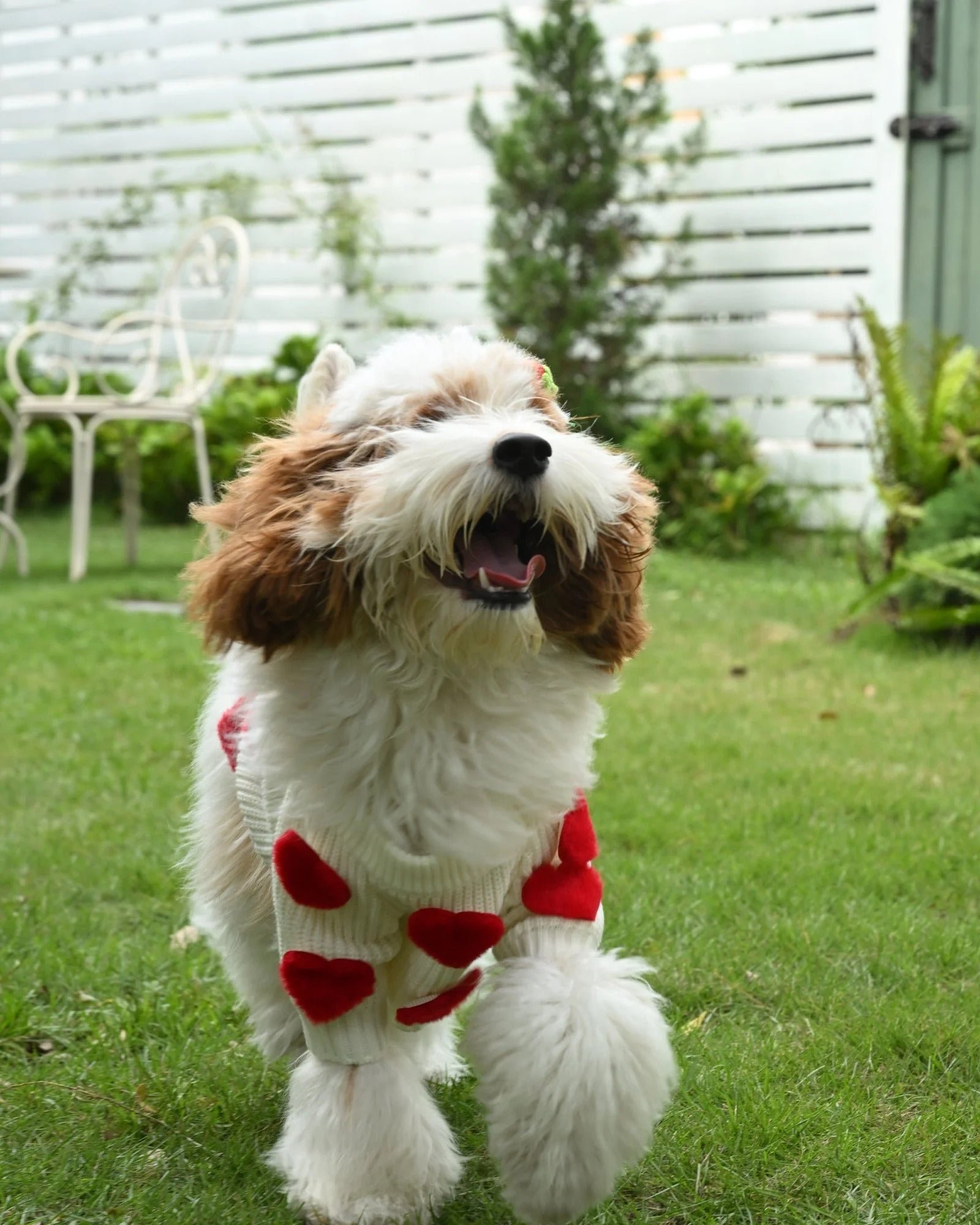Cream Heart-3D Motif Pet Sweater - Image 17