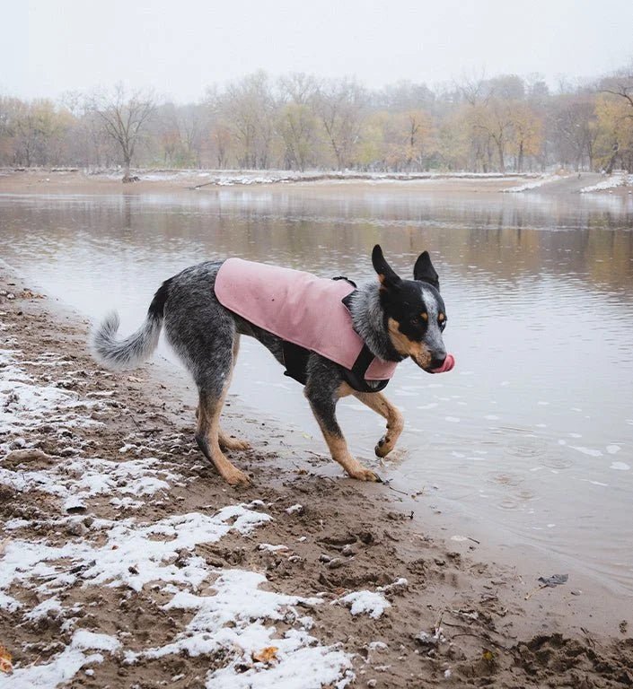 Pink | Coat - Image 10