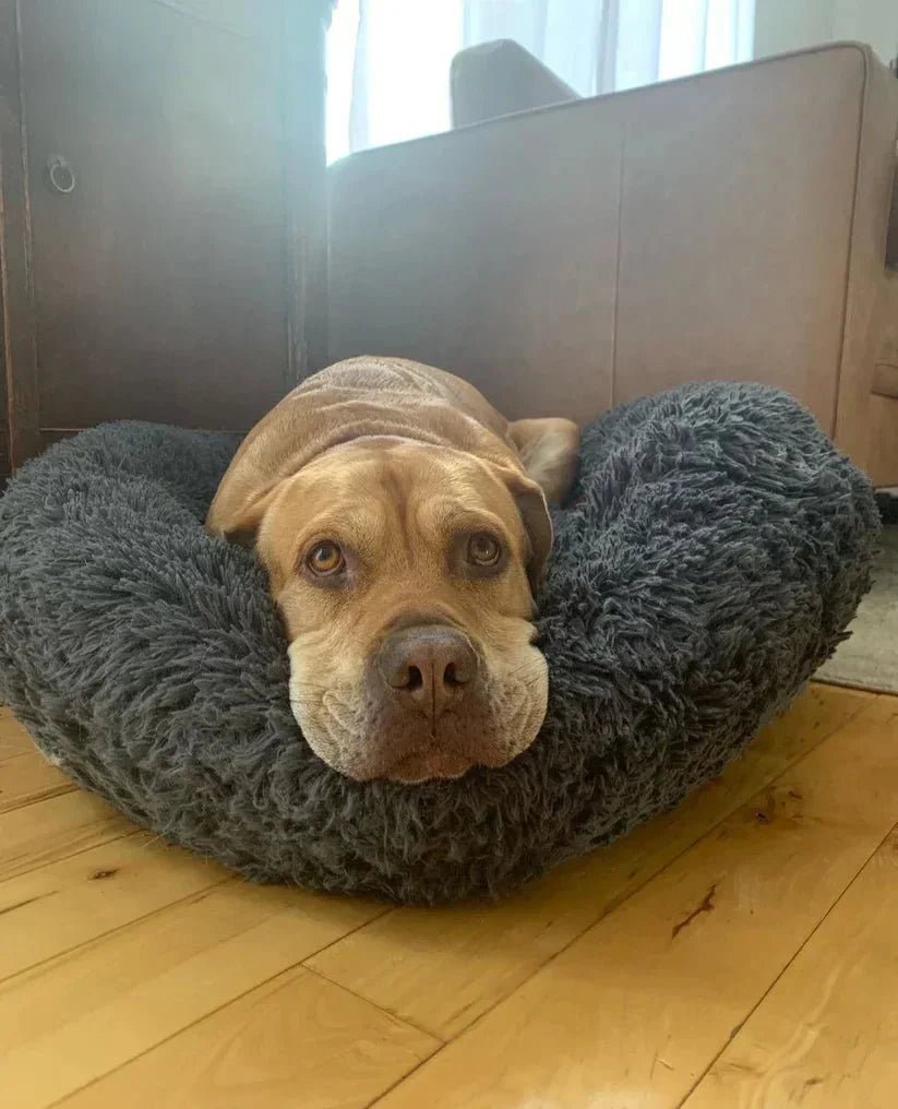 Calming Deep Sleep Pet Bed - Image 9