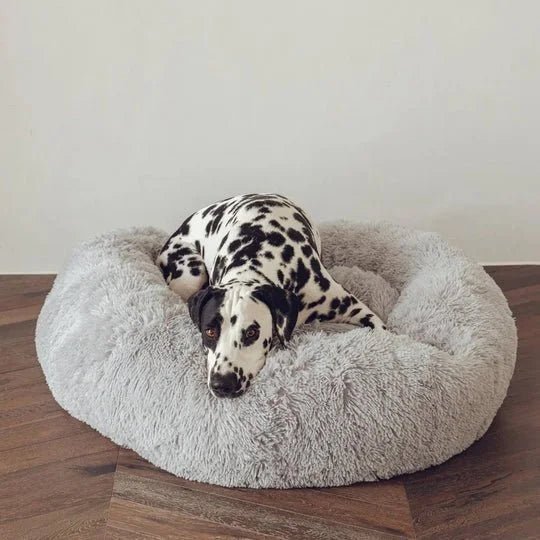 Calming Dog Bed & Cover Bundle - Image 34