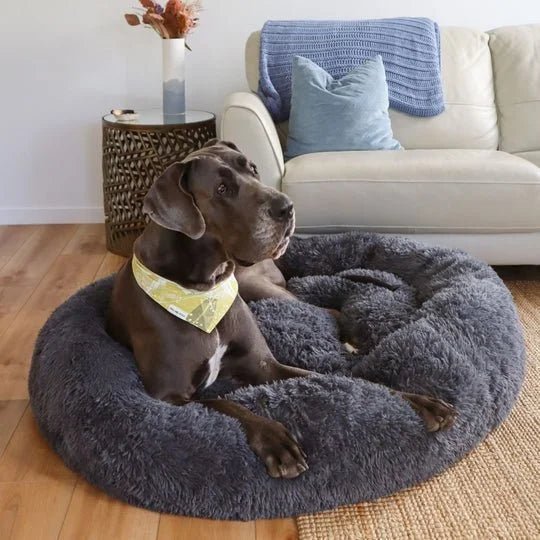 Calming Dog Bed & Cover Bundle - Image 15