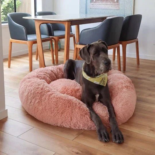 Calming Dog Bed & Cover Bundle - Image 9