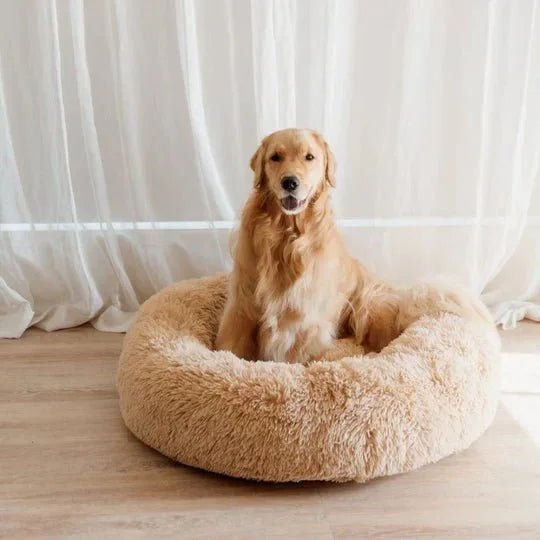 Calming Dog Bed & Cover Bundle - Image 30