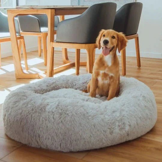 Calming Dog Bed & Cover Bundle - Image 43