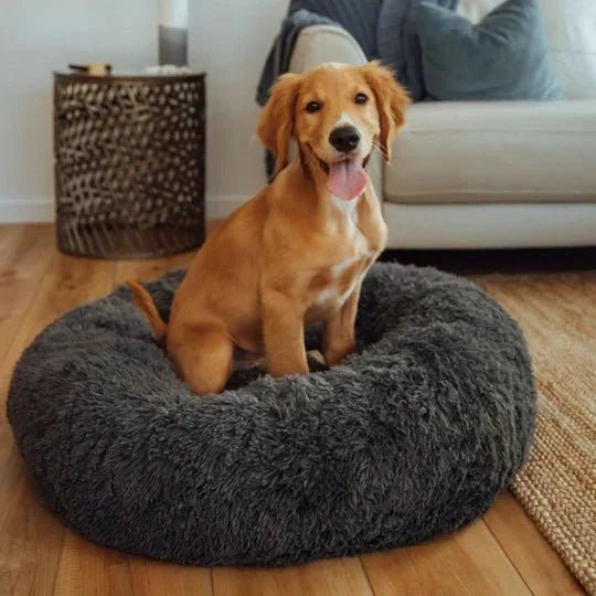Calming Dog Bed & Cover Bundle - Image 19