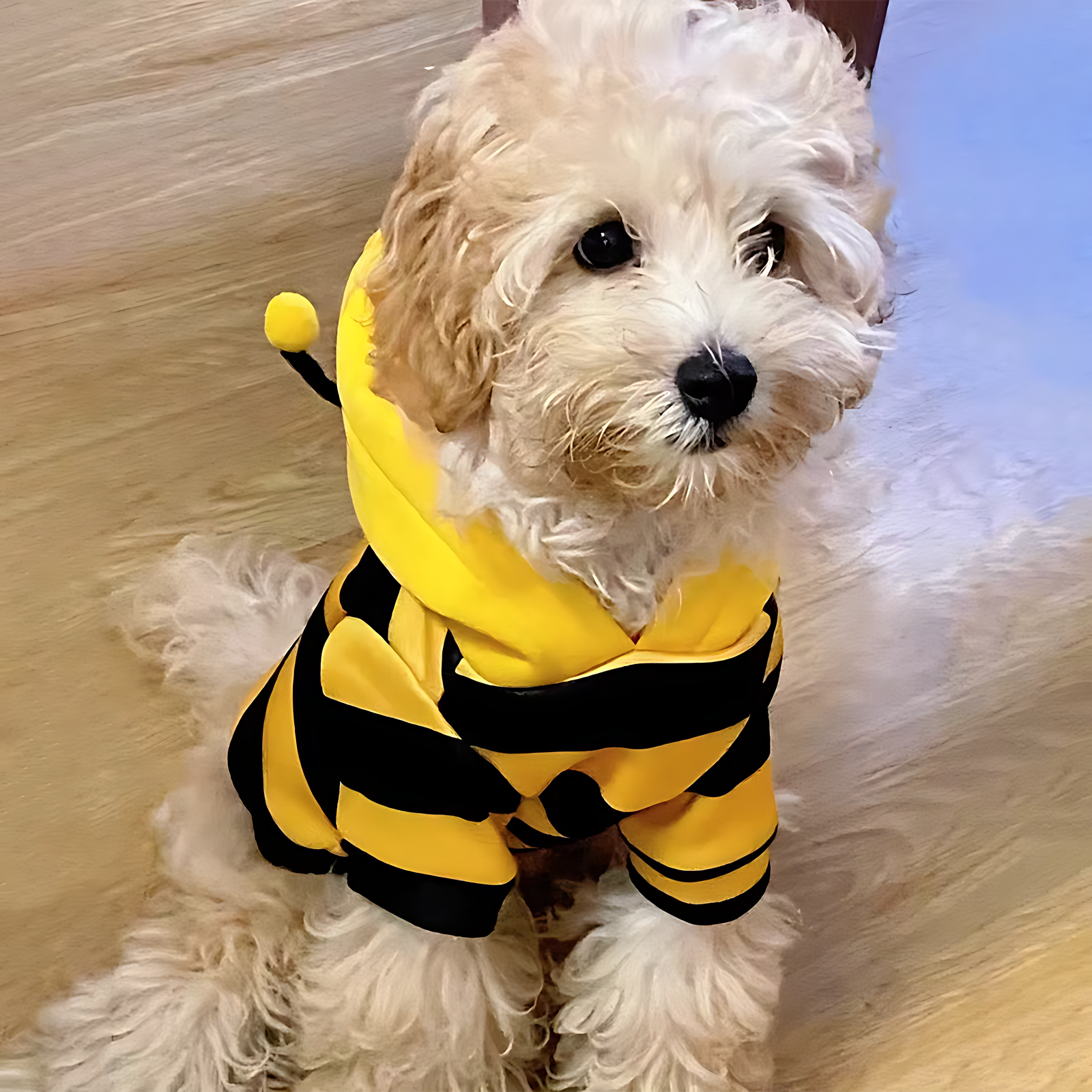 Cute Bee Pet Hoodie – Warm Winter Costume for Dogs & Cats - Image 4