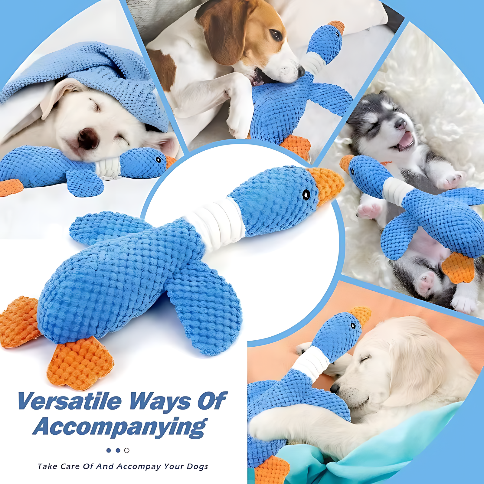 Interactive Plush Dog & Cat Toy – Squeaky Durable Chew Toy - Image 5