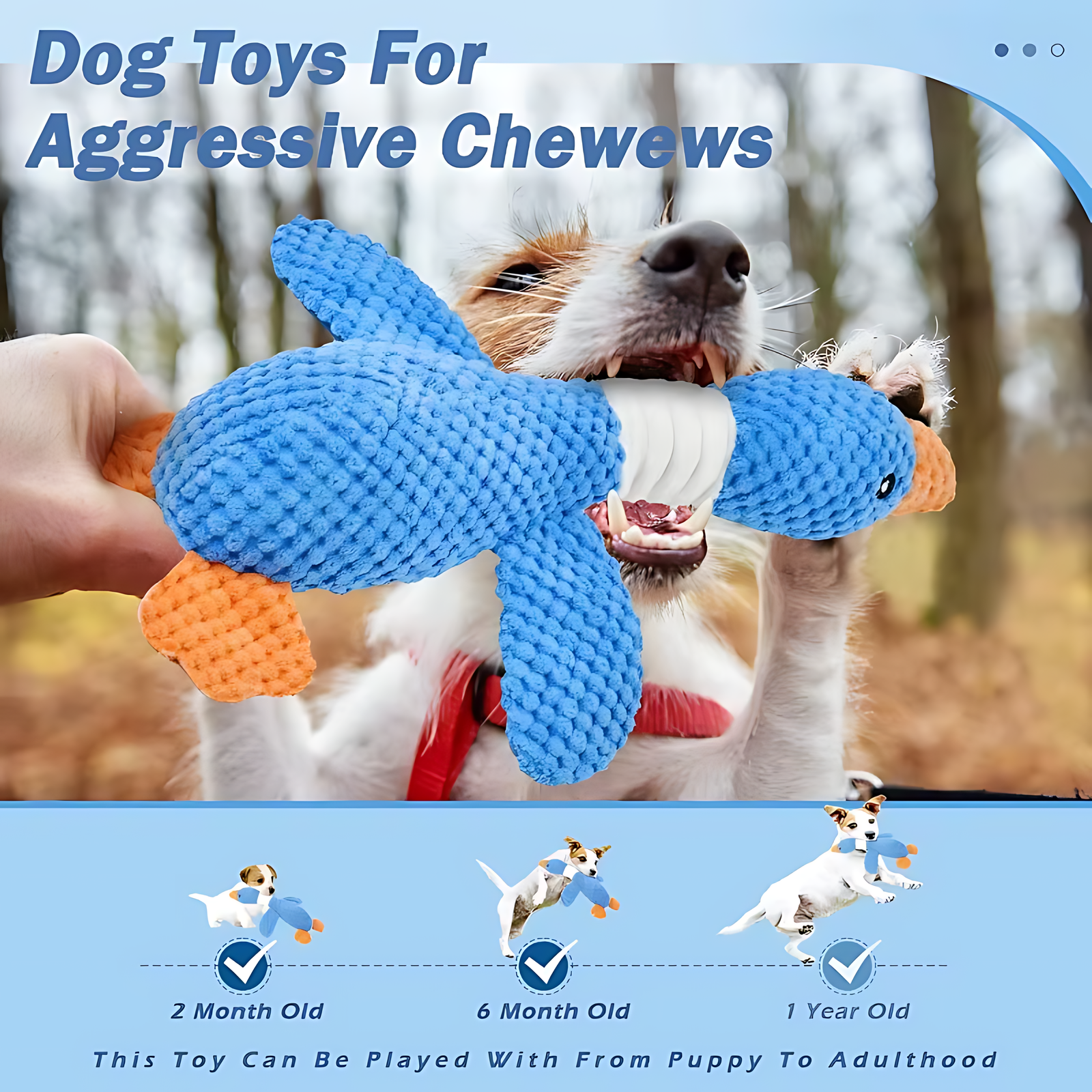 Interactive Plush Dog & Cat Toy – Squeaky Durable Chew Toy - Image 6
