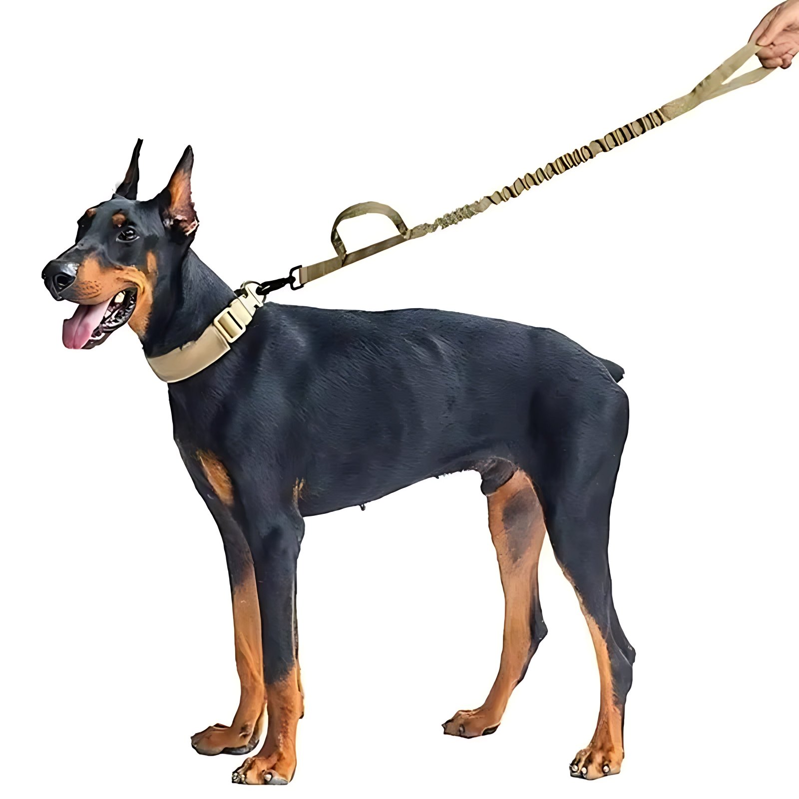 Military Style Dog Collar and Lead Set – Strong Tactical Nylon Leash - Image 2