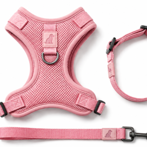 Breathable Dog Vest Harness Set, Adjustable Soft Mesh Harness with Leash & Collar