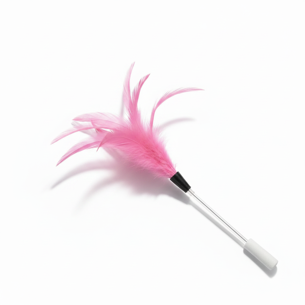 Feather Cat Wand Toy for Indoor Chase Play - Image 7