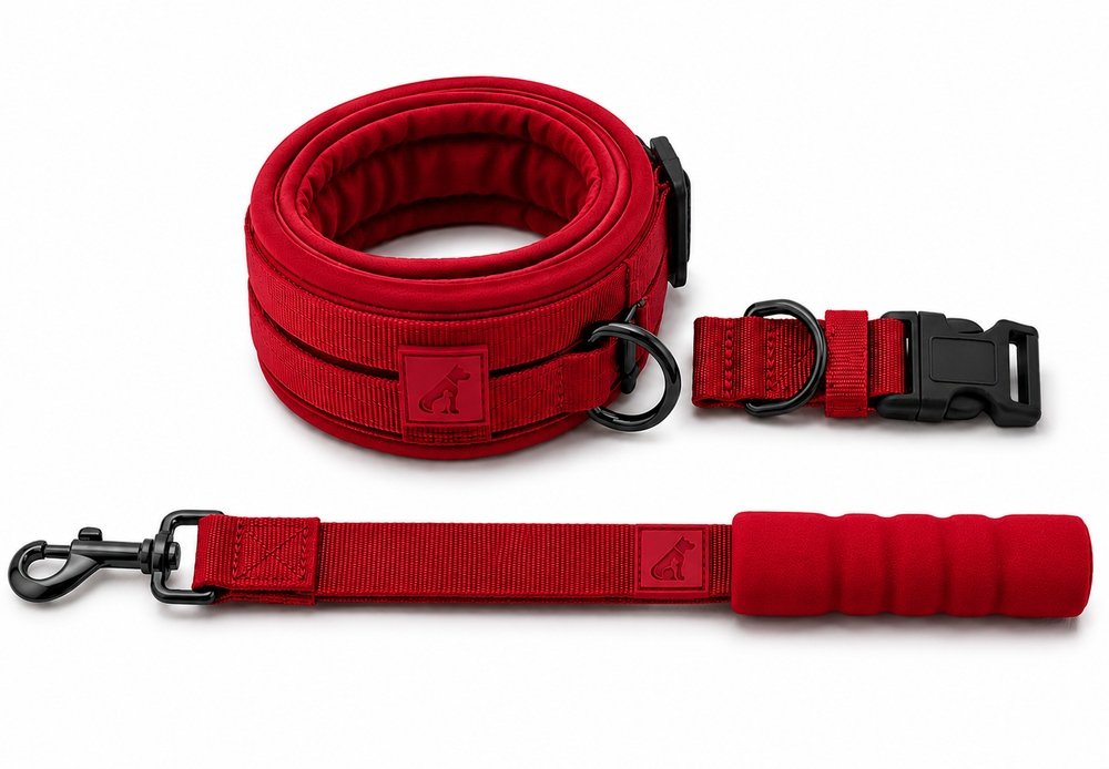 Dog Collar and Leash Set