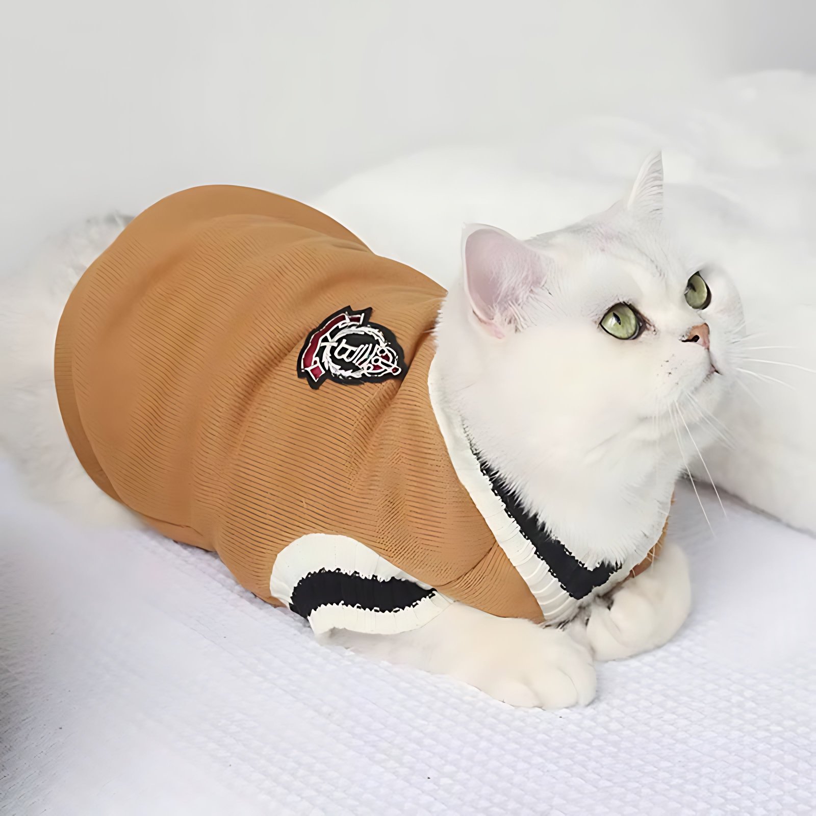 Winter Dog & Cat Sweater – Soft Pullover Vest for Small Dogs & Kittens - Image 7